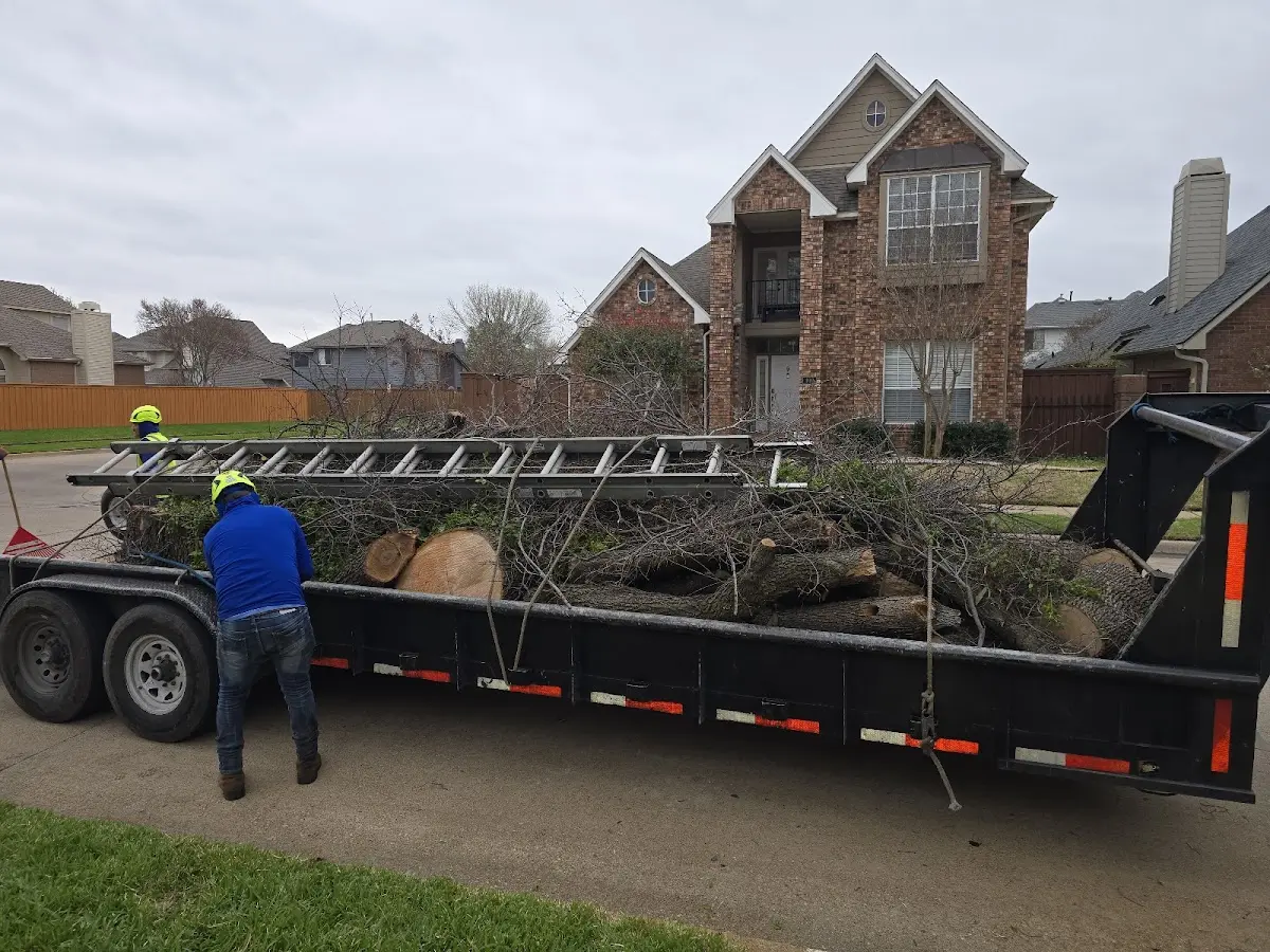 Expert Tree Removal with proper safety equipment in Hartland